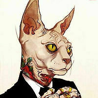 Avatar von -Innuendo-