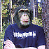 Avatar von 1200L