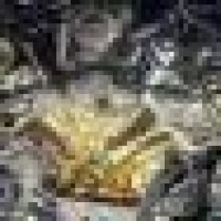 Avatar von Alex_CI645
