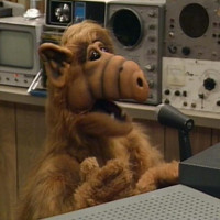 Alf02