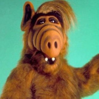 Avatar von Alf12
