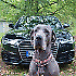 Avatar von Ally Pirelli