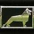 Avatar von Alpcrasher