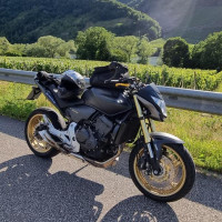 Avatar von audischrub-au-ber