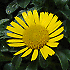 Avatar von B8GTE