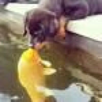 Avatar von Barny97273