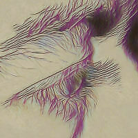 Avatar von Baso