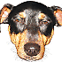 Avatar von bastelbernie