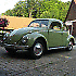 Beetle1960