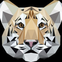 Avatar von binford6000