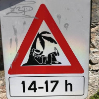 Avatar von bk56