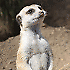 Avatar von bruce96