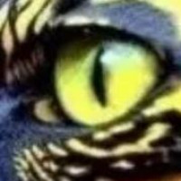 Avatar von Bumer328i