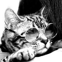 Avatar von C180T-DSR