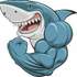 Carcharhinus