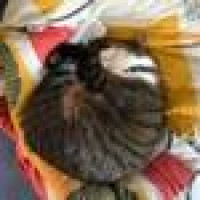 Avatar von CH_3_Golfschrauber