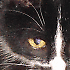 Avatar von diegat