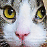 Avatar von Dodge 7
