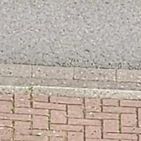 Avatar von Don -Mondo