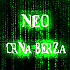 Avatar von draganbojic
