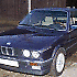 e30lion