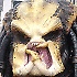 Avatar von EHKA6
