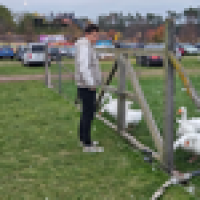 Avatar von Flowjob_Reloaded