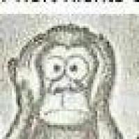 Avatar von gerdaushesse