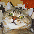 Avatar von Gismo700