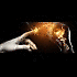 Avatar von grobi2002