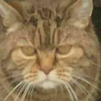 Avatar von hgabi