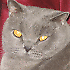 Avatar von hodde15