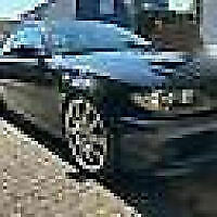 Avatar von holle2309