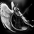 Avatar von ICEKILLER1977