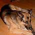 Avatar von ichbindiewalburga