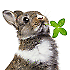 Avatar von Individual Leder