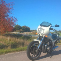 Avatar von Ingi_88