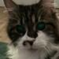 Avatar von jokel