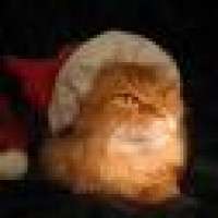 Avatar von Kabelaffe2502