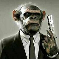 Avatar von Killerkalle2020