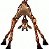 Avatar von KLON