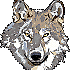 Avatar von LordOlaf