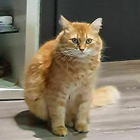Avatar von MaxMannheim