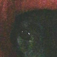 Avatar von mika