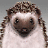 Avatar von misk