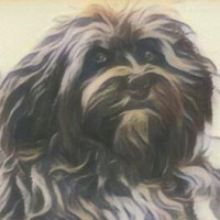 Avatar von Motte07