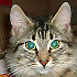 Avatar von Ofi2