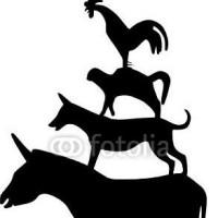 Avatar von Op_St_der neue