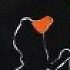 osssi