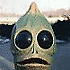 Avatar von p2m